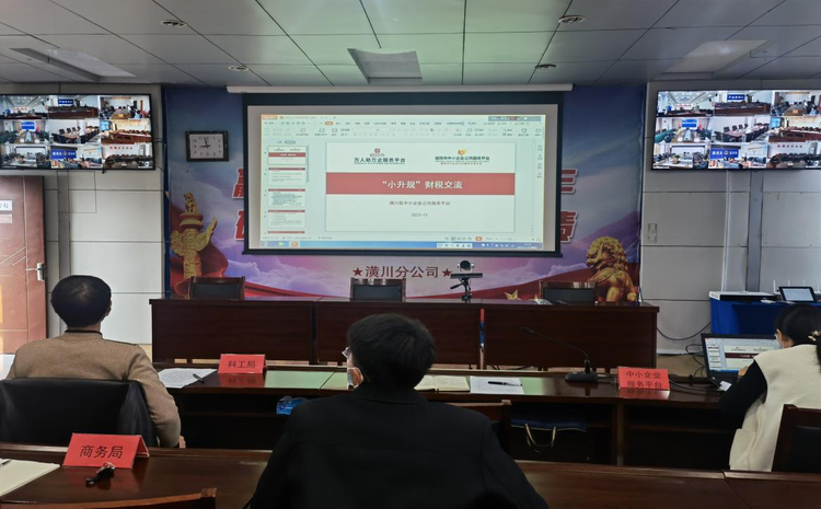 图片4