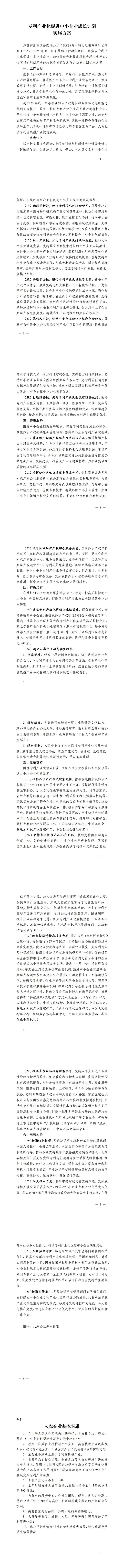专利产业化促进中小企业成长计划实施方案_00
